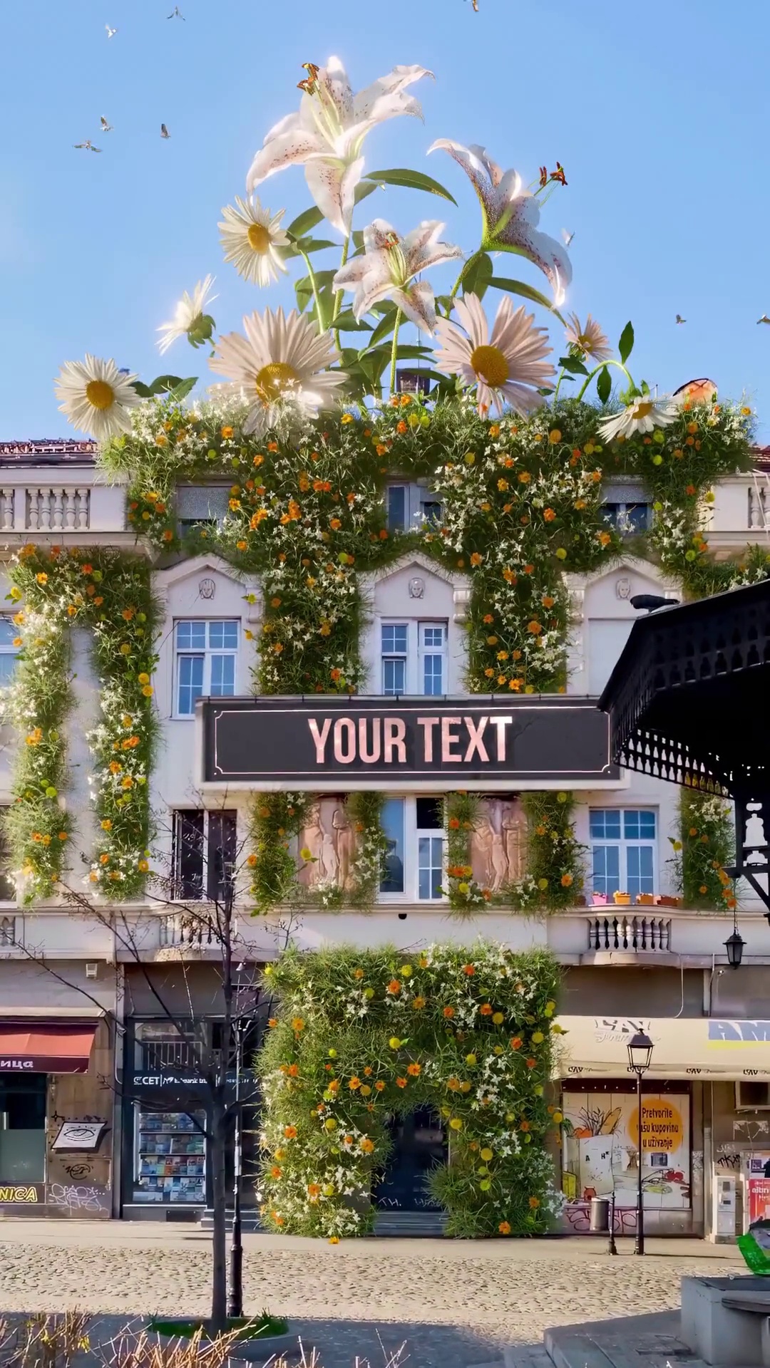 Belgrade Flowers by Kate Litvinova