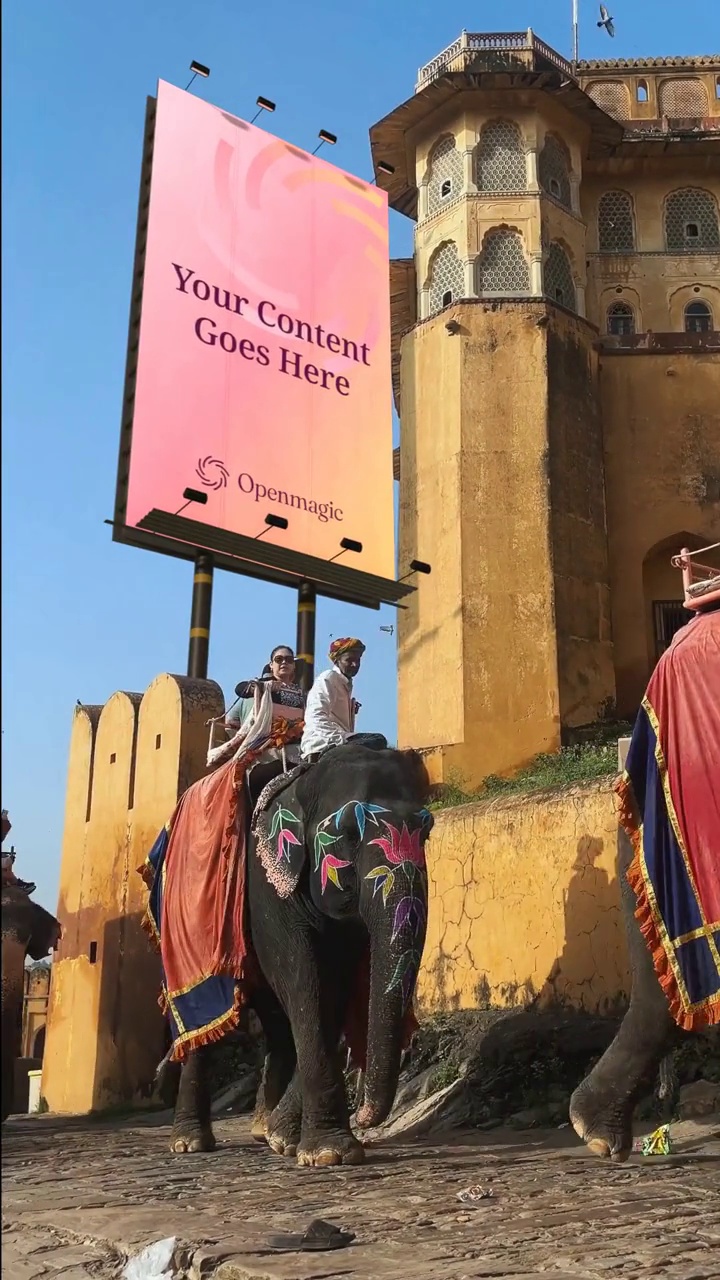 India Elephants