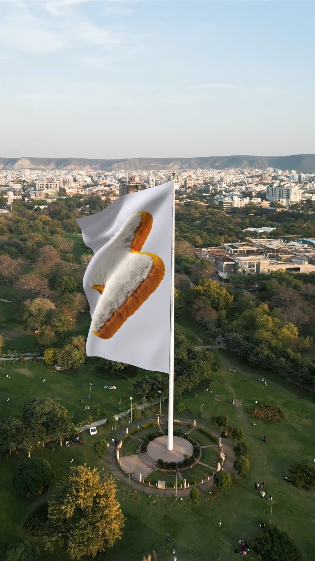 India Flag